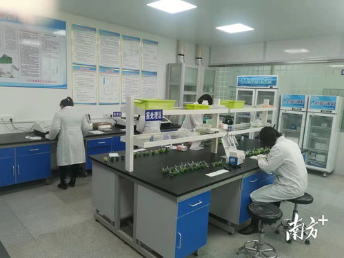 守護“菜籃子”安全，助力放心消費——興寧市場監(jiān)管局食用農(nóng)產(chǎn)品快檢中心正式啟用