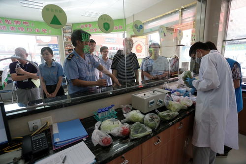 食用農產品抽檢全合格，人大代表政協委員現場見證助力零售安全